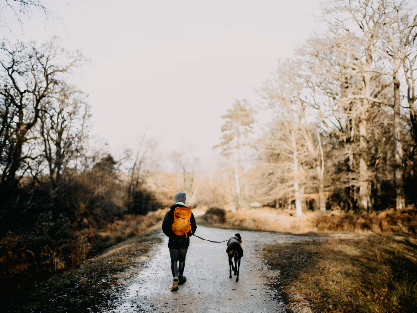 Dog Walker & Pet Sitter Taxes in Canada: Rover, Cash, and the T2125